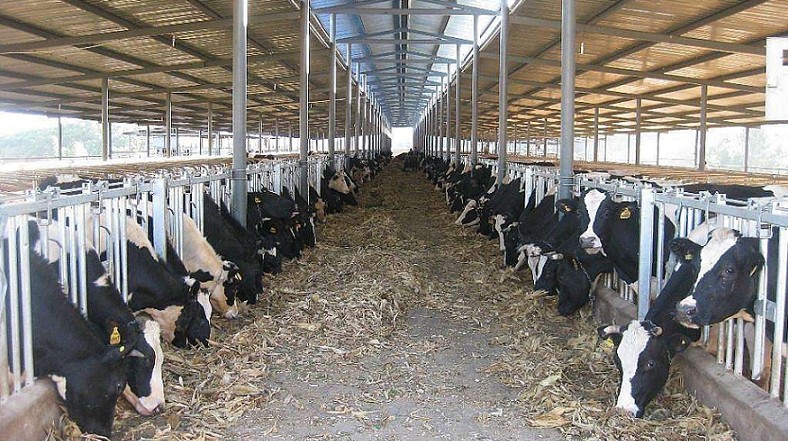 艾思捷定制款PGV035系列減速機--應用在畜牧業(yè)、飼料行業(yè)